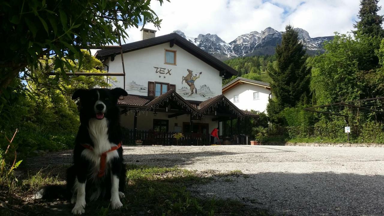 Bed and Breakfast Botton D'Oro Delle Dolomiti Vattaro Exteriér fotografie